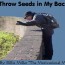 Don’t Throw Seeds in My Backyard!