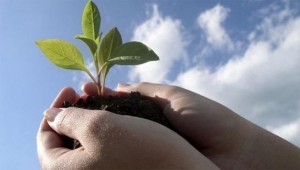 7-Tips-To-Grow-Your-New-Business
